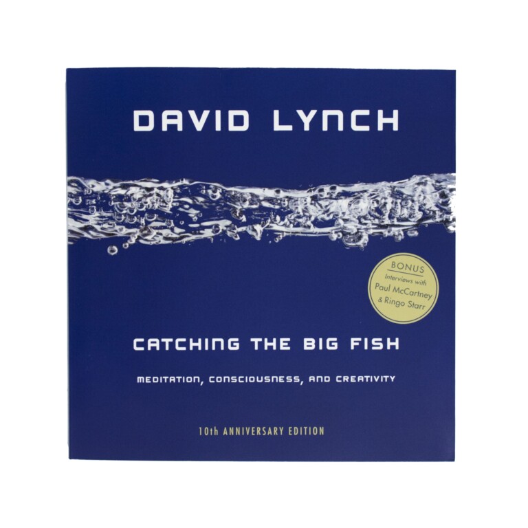 Catching the big fish | Ðavid Lynch | Eye | Museum Gifts