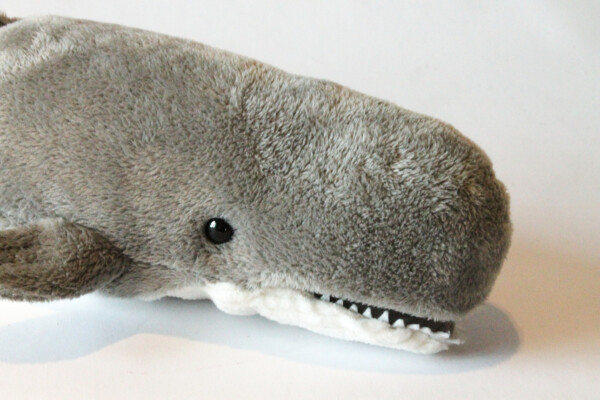 Stuffed animal 'sperm whale'