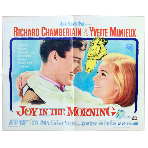 Joy in the morning - Original vintage movie poster