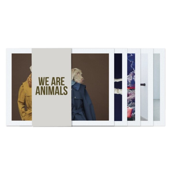 Set of postcards - We Are Animals