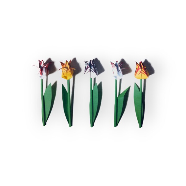 Tulips Piet Design