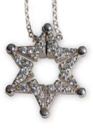 Silver Magen David / Butterfly necklace