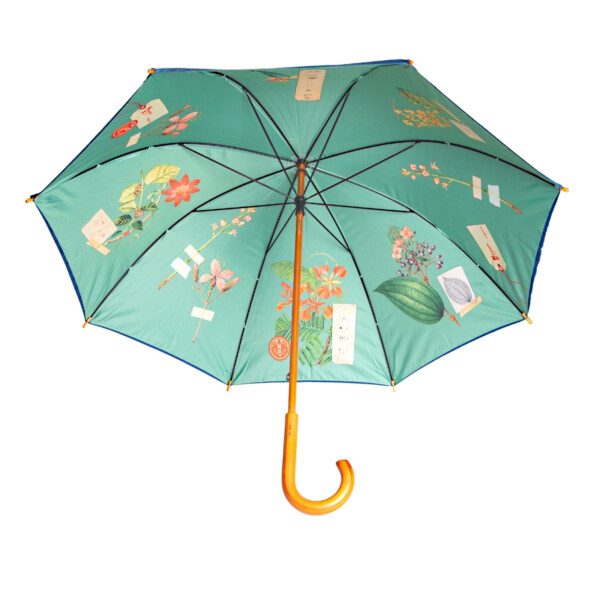 Umbrella Naturalis Originals