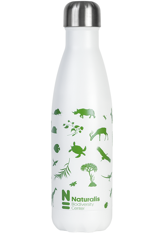 Naturalis Bottle - Green