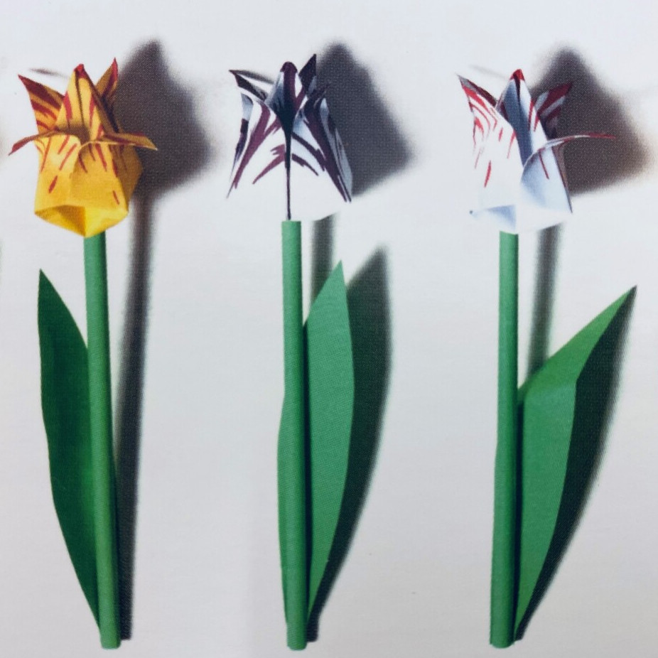 Folding Tulips - Piet Design