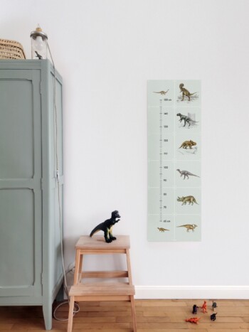 Dino Growth Chart