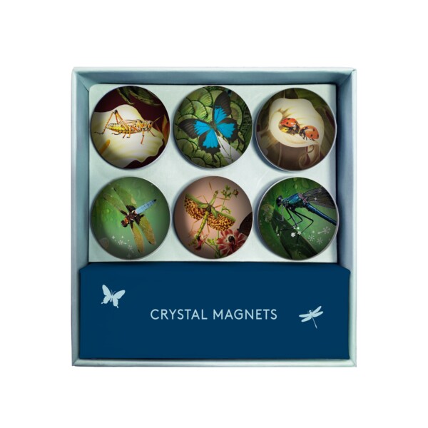 Crystal Magnets - Tord Boontje