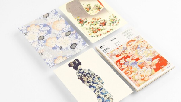 Kimono C6-envelopes