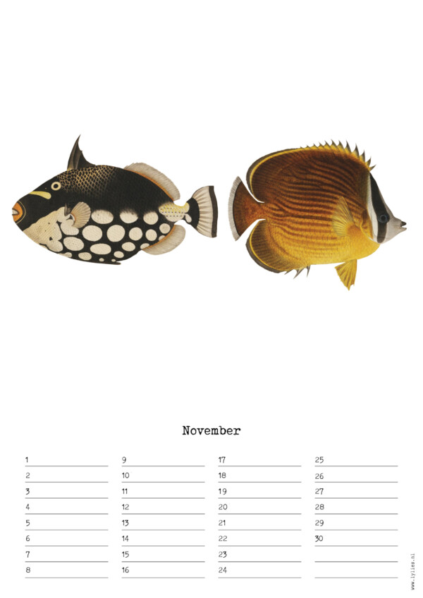 Birthday Calendar by Naturalis – Image 12