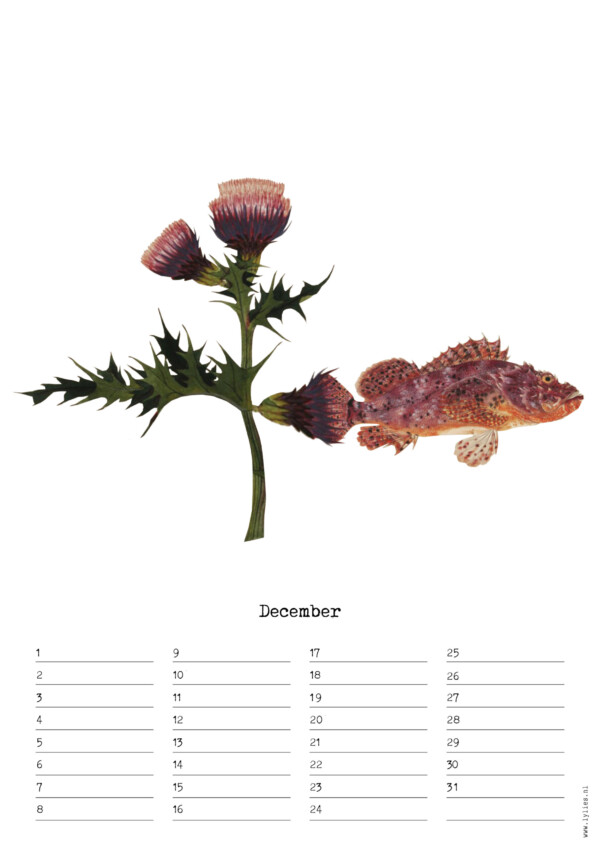 Birthday Calendar by Naturalis – Image 13