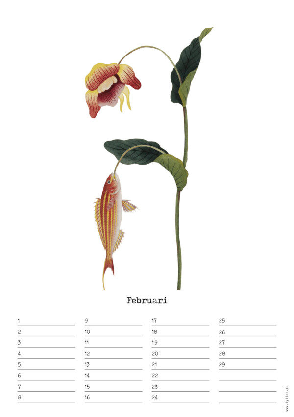 Birthday Calendar by Naturalis – Image 3