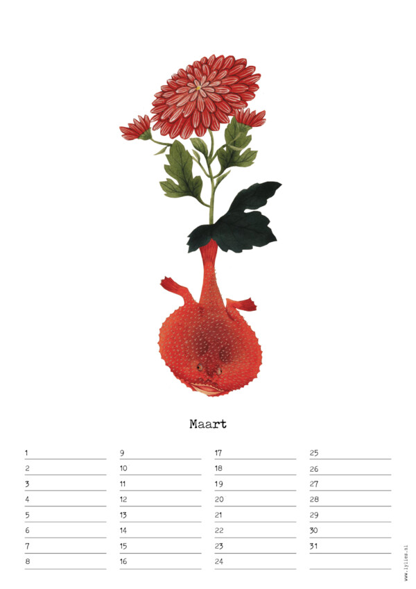 Birthday Calendar by Naturalis – Image 4