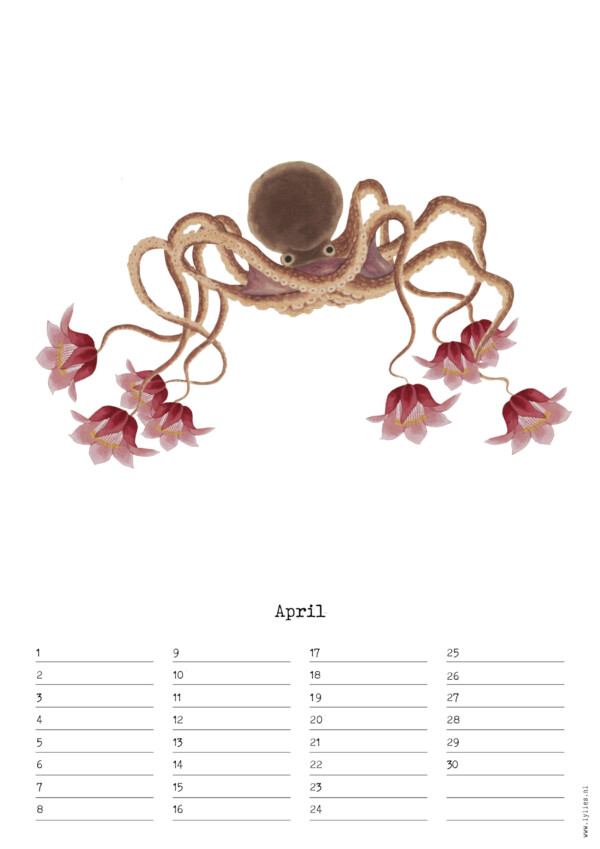 Birthday Calendar by Naturalis – Image 5