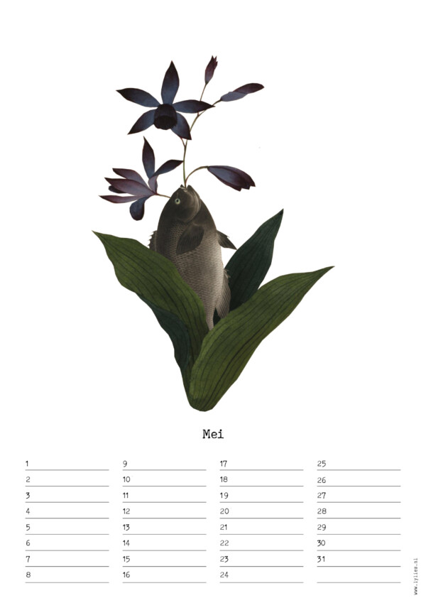 Birthday Calendar by Naturalis – Image 6