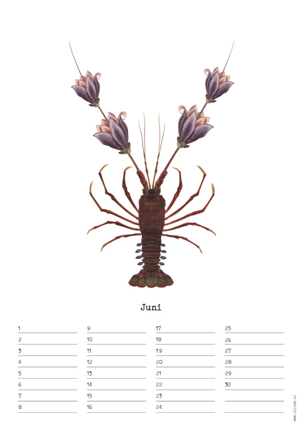 Birthday Calendar by Naturalis – Image 7