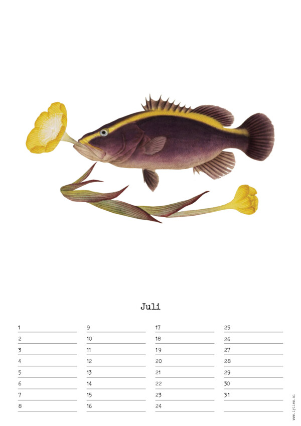 Birthday Calendar by Naturalis – Image 8