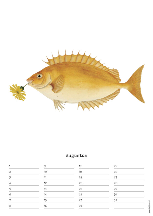 Birthday Calendar by Naturalis – Image 9