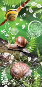 Tord Boontje - Forest Snails - Canvas Giclée - No frame - Canvas