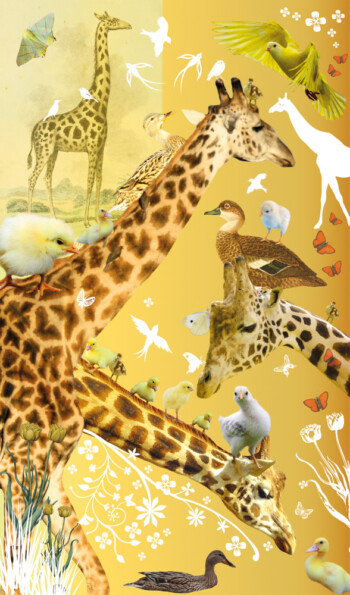 Tord Boontje - Giraffe and Birds - Canvas Giclée - No frame - Canvas