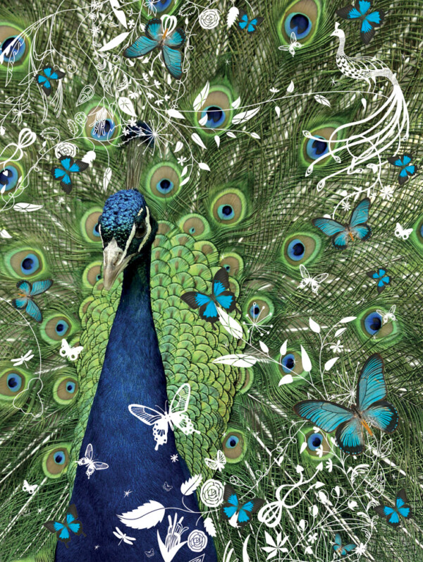 Tord Boontje - Tropical Forest Peacock - Canvas Giclée - No frame - Canvas