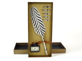 Boerhaave Quill pen Calligraphy set - Bronze