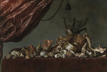 Abraham Susenier - Nature morte aux coquillages - Toile Giclée - Pas de cadre - Toile