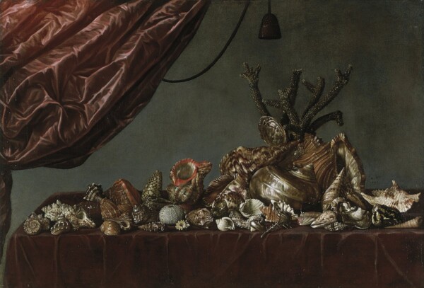 Abraham Susenier - Still life with shells - Canvas Giclée - No frame - Canvas
