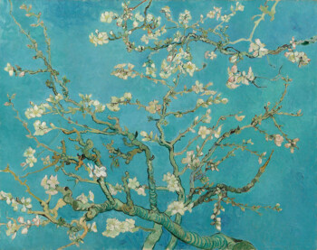 Vincent van Gogh - Mandelblüte, 1890
