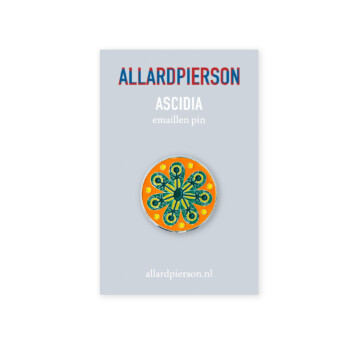 Ascidia Pin