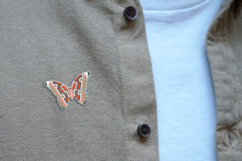 Butterfly Pin