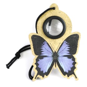 fly eye butterfly blue