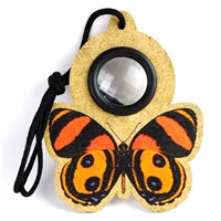 fly eye butterfly orange