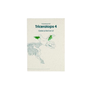 Triceratops acrylic earstuds - Green