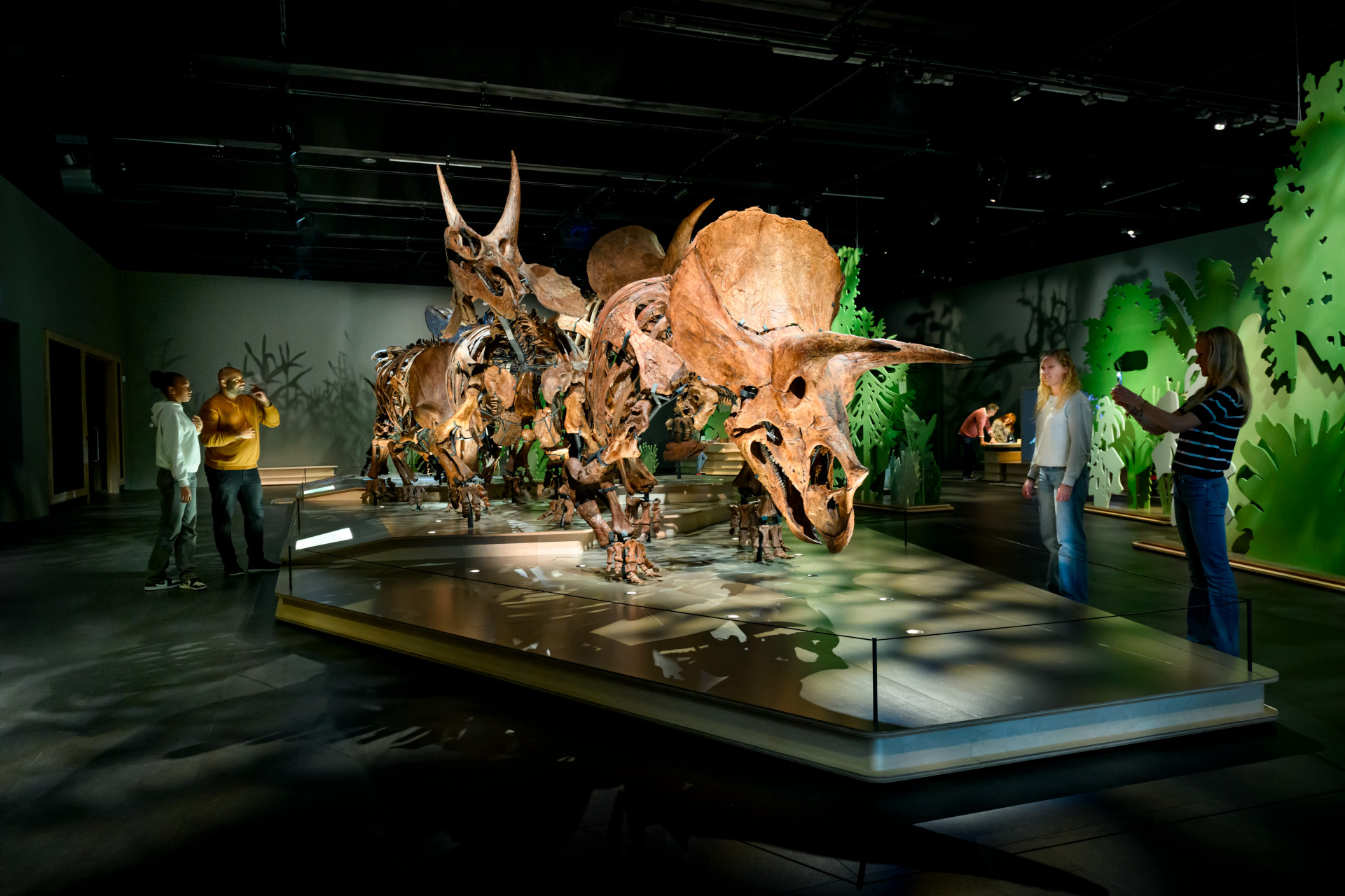 Triceratops: The Herd - Naturalis - DMGS