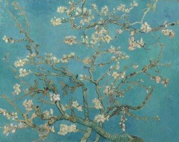 Van Gogh - Almond Blossom