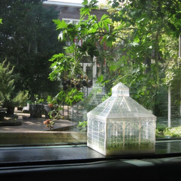 Piet Design - Foldable plant house made of polypropylene