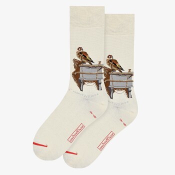 Art Socks, Fabritius, The Goldfinch