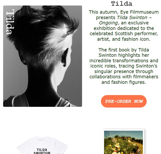 Tilda Swinton - Ongoing