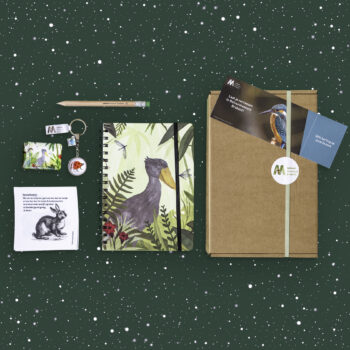 Naturpaket (groß) (kopie)