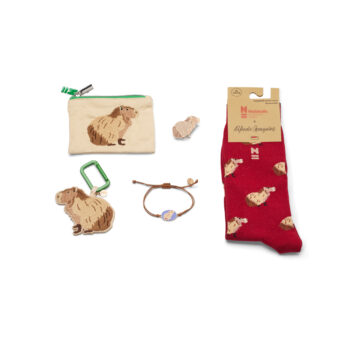 Capibara geschenkset
