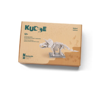 LEGO Triceratops Skeleton