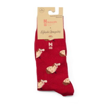 Capybara Socks
