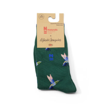 Hummingbird Socks