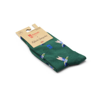 Hummingbird Socks