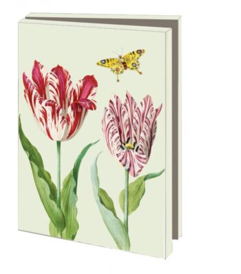 Tulips, Jacob Marrel - Card folder with envelopes
