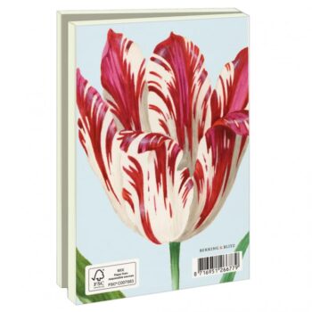 Tulpen, Jacob Marrel - Kartenmappe mit Umschlägen