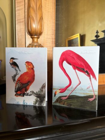 Card folder with env. Large | Aert Schouman, John James Audubon