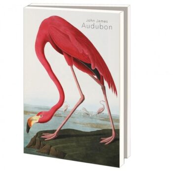 Card folder with env. Large | Aert Schouman, John James Audubon - John James Audubon