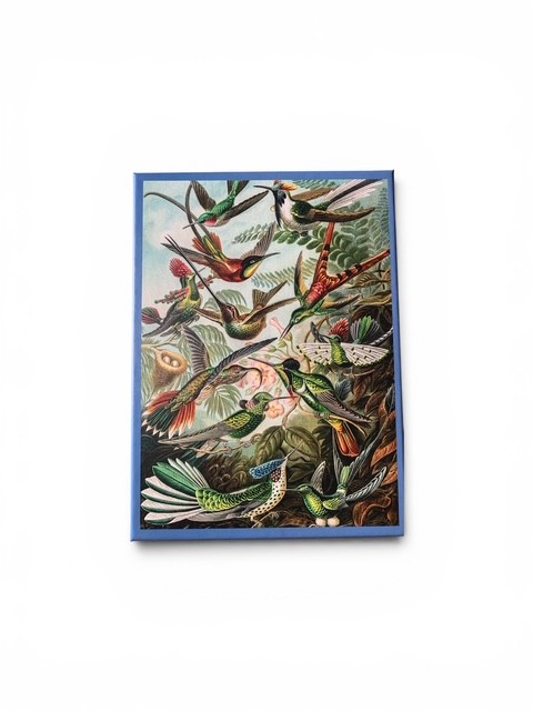 Ernst Haeckel - Art of Nature - Puzzle