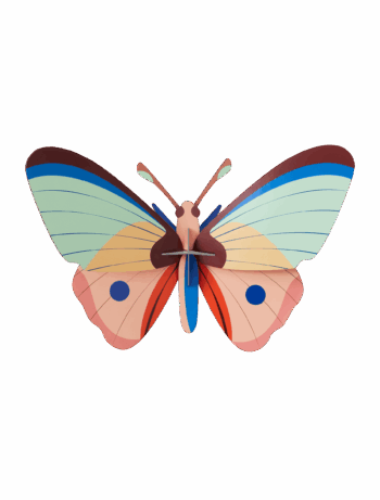 Butterfly on blank background